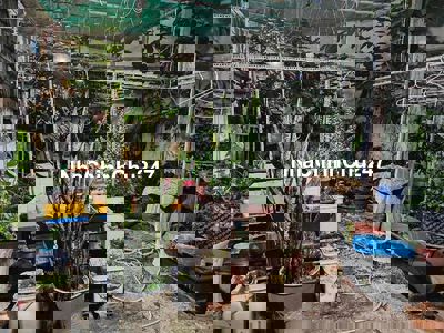 Đất Bình Thạnh tiện xây mới . Ngang 5m thoạgs vài bước chân hẻm xe hoi