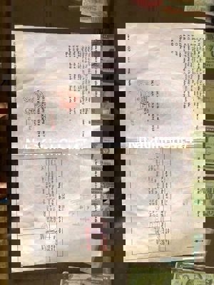 Em Chính Chủ bán đất