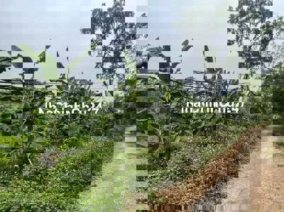 Chính chủ cần tiền bán gấp đất bám mặt sông hoà bình