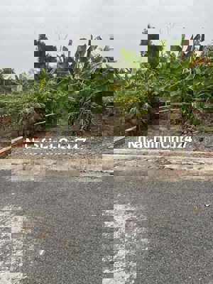 chính chủ cần bán đất 5,3 x 21,6=114,7m thổ cư hẻm xe hơi