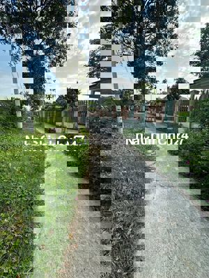 Chính chủ cần tiền bán đất Điện hòa 595tr Bên hông ủy ban Điện hòa