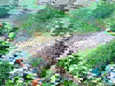 Chỉ 200tr , đất Chính chủ 6x40 tc 100m2 Đối diện Kcn Minh Hưng