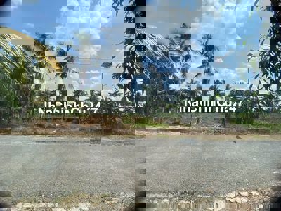 CHÍNH CHỦ CẦN BÁN ĐẤT ĐẸP, GẦN KCN HÒA PHÚ & ĐẠI HỌC CỬU LONG