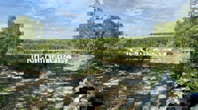 CHÍNH CHỦ CẦN BÁN GẤP 8 SÀO ĐẤT CLN HUYỆN XUÂN LỘC -TỈNH ĐỒNG NAI