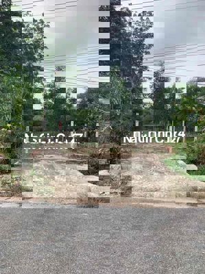 Đất nhựa Bàu Rong, ôm chủ . kết bạn zalo có nhiều nguồn đẹp lắm ạ