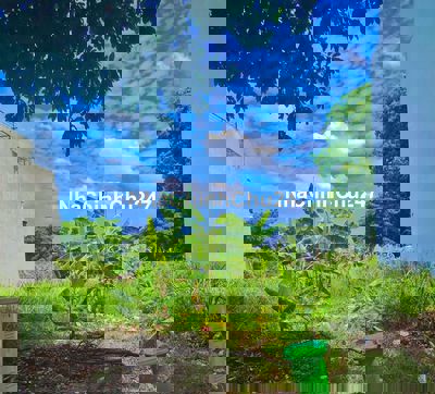 Mỹ Phước 3 Bến Cát chính chủ gửi bán lô đất trong KDC