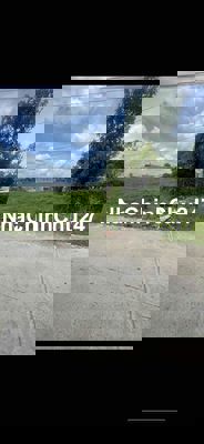 ĐẤT CHÍNH CHỦ THỔ CƯ CẦN BÁN rừng dầu mỹ hạnh bắc long an