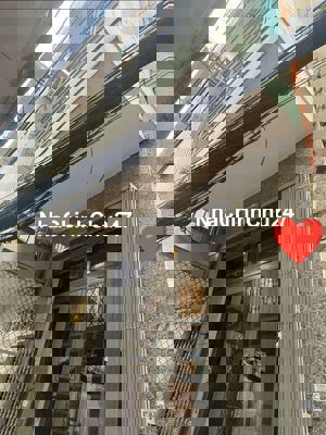 SIÊU PHẨM GIÁ TỐT Q1 – NHỈNH 4 TỶ – HẺM ĐẸP NGUYỄN CƯ TRINH – 2 TẦNG