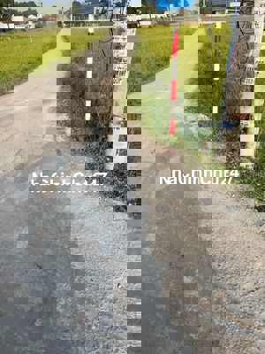 Chính chủ Bán Đất thổ cư Đường Lục Viên,  Mỹ Hạnh Bắc, Đức Hòa Long An