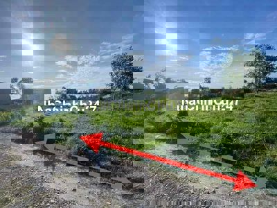 CẦN TÌM CHỦ MỚI CHO LÔ ĐẤT PHƯỚC THẠNH GÒ DẦU CHỈ 469 TRIỆU