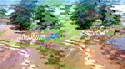 Chính chủ bán đất làm khu nghĩ dưỡng hay nhà vườn