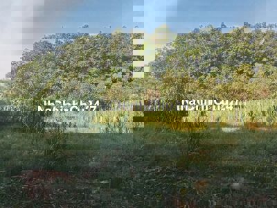 ĐẤT NHÀ CHÍNH CHỦ CẦN TIỀN BÁN