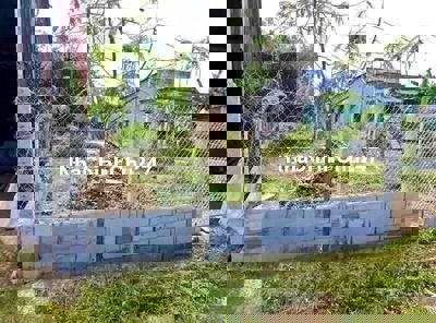 Đất thổ cư chính chủ cần bán gấp