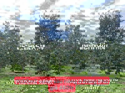 Chính chủ cần bán 1000m2 đất vườn sầu 4 năm tuổi giá 460 triệu
