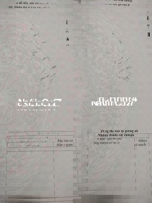 Chính chủ bán đất 4x19m khu dân cư Tân Bình, Dĩ An BD _ Chỉ 2ty950