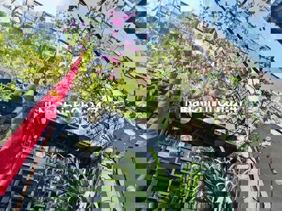 Nguyên căn nhà có ban công rộng rãi