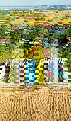 Hàng Thơm, 1000m2 đất có 450m2 thổ cư đường xe tải Vành Đai 4 chỉ 2 tỷ