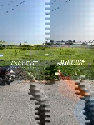 Đất chính chủ 5x25, Mỹ Hạnh Bắc, SHR, gần chợ TL 9