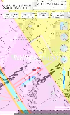 Chính chủ bán 1 công đất lúa Tân Trụ