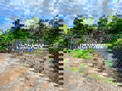 BÁN ĐẤT VƯỜN LONG AN 232m2 – SỔ HỒNG RIÊNG, QH Thổ Cư [Hàng Hiếm]