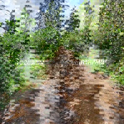 đất nông nghiệp có thổ cư