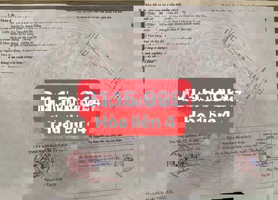 🌈 Hòa liên 4 đường nhựa 5m5, dt 145m2 giá rẻ, dân cư cực đông