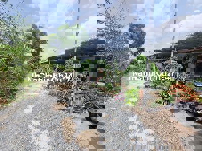 132 m2 thổ cư. Đường thông. Gần nhựa. Dân đông. 430tr