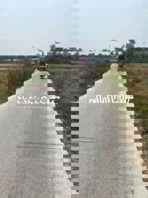 Bán rẻ đất dân cư 2.100m2 Nguyễn Văn Linh Bình Chánh