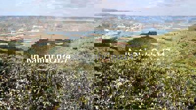 Chủ cần ra gấp đất trồng cafe 455tr/xào