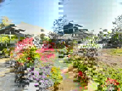 Hàng Thơm, 155m2 đất thổ cư sát chợ Tân Trụ chỉ 580tr