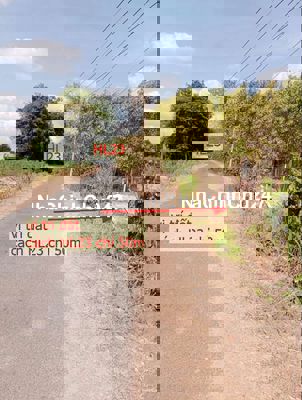 Bán đất lớn 1.000m2 có 100m2 thổ cư