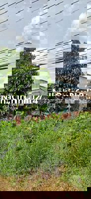 Bán miếng đất thổ cư mặt tiền thanh niên