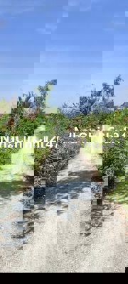 Bán đất thổ cư giá rẻ tại Bình Chánh 998m2