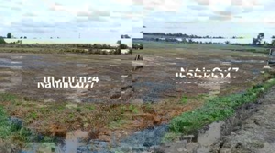 Cần bán đất ruộng, chính chủ