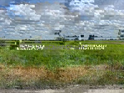 450m2 XÂY KHO XƯỞNG ĐỨC HOÀ ĐÔNG GIÁP TP