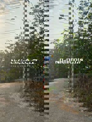 Cần bán gấp đất 2000m thổ cư 160m mt nhựa