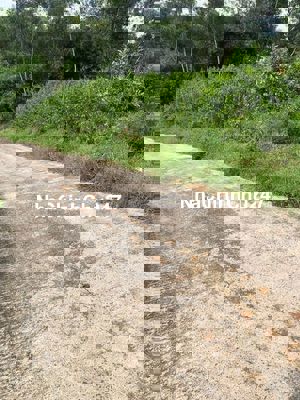 CHÍNH CHỦ BÁN ĐÂT TRUNG TÂM LONG TÂN, NHƠN TRẠCH