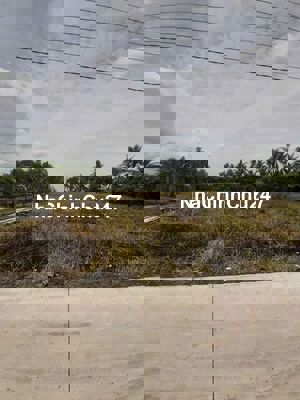 1085M2 ĐẤT LÚA CÓ 239M2 THỔ CƯ CẶP BÊN ỦY BAN XÃ TÂN TRẠCH