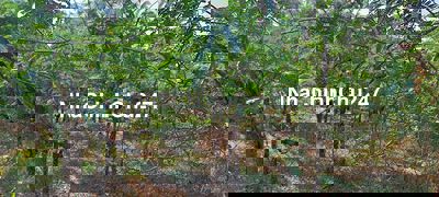 Bán nền thổ cư giá rẻ tân quý tây