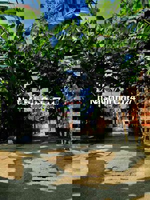 Đất nền Hồng Hà đan phượng