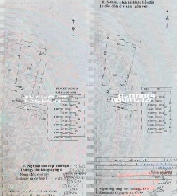 Nhà vườn Trung An, Củ Chi Chính Chủ giảm hơn 1 tỷ cần bán gấp trong T5