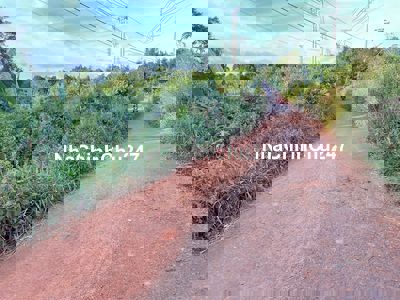 💥Lô Tổng 1sào,mặt chính 50m,đg Nhựa,Khu Phạm ngũ lão thôn6,gần VànhĐai