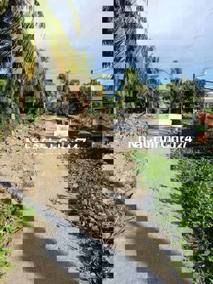 Đât nền đâu tư