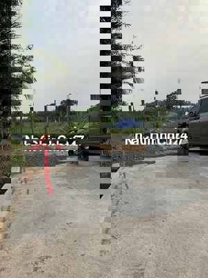 Bán đất 275m2 thổ cư tại Long Định, Cần Đước, Long An