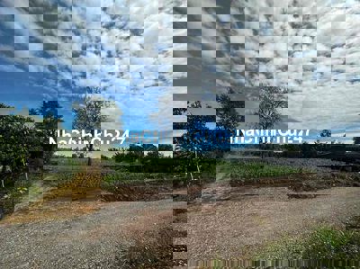 1600m2 giá đầu tu loi nhuận dân cư đông đường thông thoáng xã xuân bao