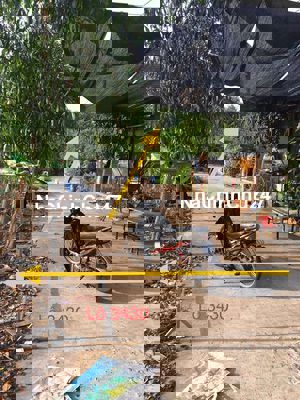 Bán đất Mỹ Phước 3