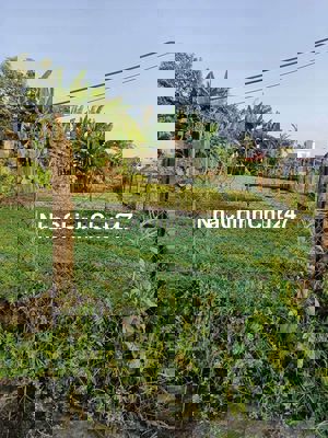 Bán lô 128m2 tại Điện Nam Bắc, cách khu công nghiệp 3km