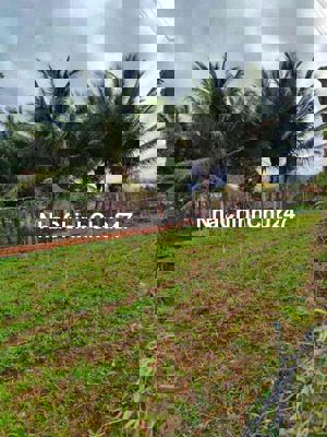 đất vườn thổ cư Hoà Khánh giá 650tr 228m2