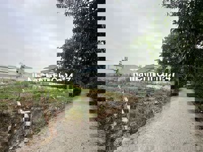 Bán gấp lô đất 1 sẹc ngắn đường Bình Mỹ, tổng 316m2, full thổ cư