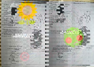 CHÍNH CHỦ BÁN ĐẤT ĐẸP GẦN MẶT TIỀN ĐƯỜNG TAM ĐA